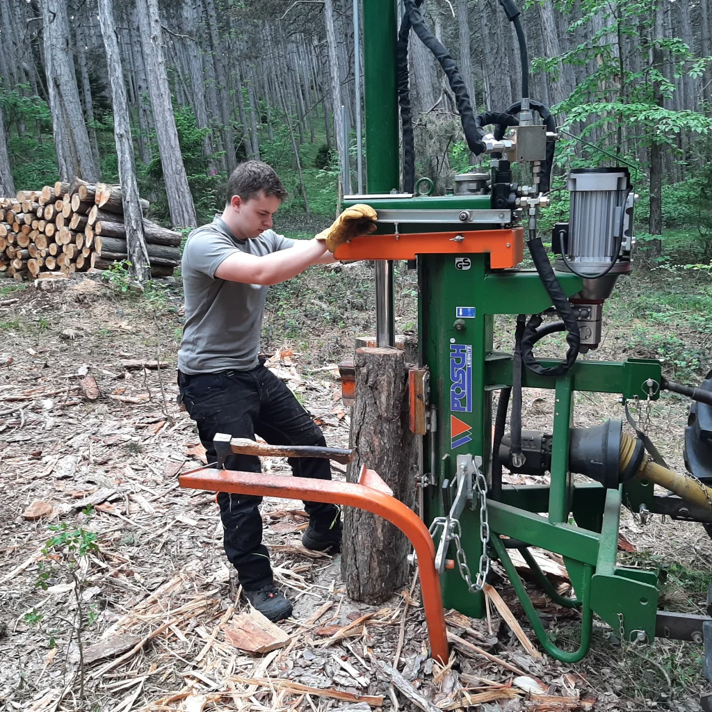 Der meterlange Stamm der Schwarzföhre wird in Holzscheite gespalten, um später daraus die Kienspäne zu schneiden.