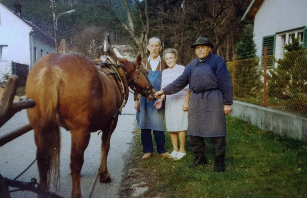 Der Wald der Familie Hauer wird seit Generationen gepflegt.