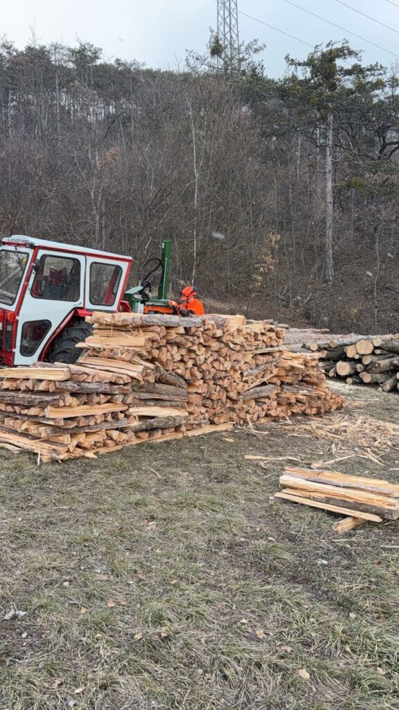 Das Holz wird übereinander regengeschützt für zwei Jahre gestapelt.
